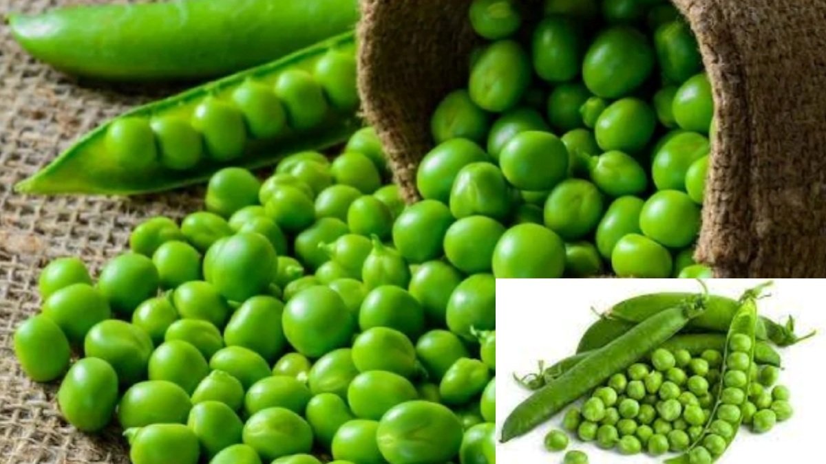 பச்சை பட்டாணி(Green Peas)/Pacha pattani