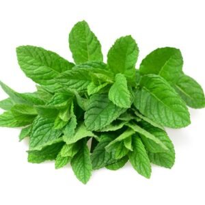 புதினா(Puthina)