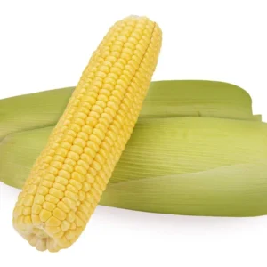 ஸ்வீட் கார்ன்(sweet corn)
