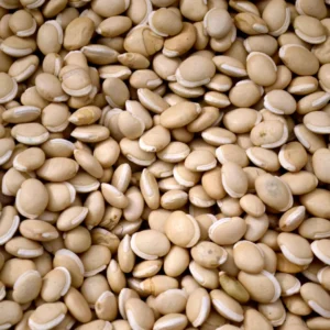 மொச்சைக் கொட்டை (Mochai Kottai/ Field Beans)