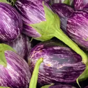 கத்திரிக்காய்(Kathirikkai/Brinjal)