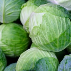 முட்டைகோஸ் (Muttai Koos / Cabbage)