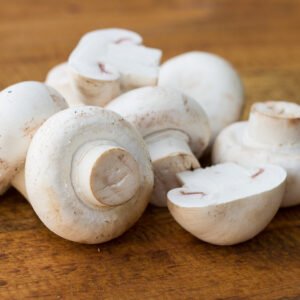 காளான்/ (Mushroom)